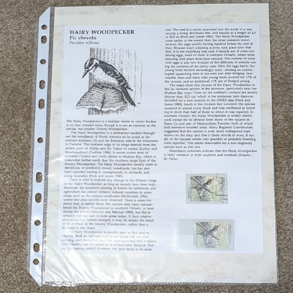 Hairy Woodpecker Postage Stamps And Information Sheet - Picture 1 of 3